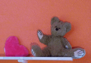 Fred the teddy bear sitting on a shelf