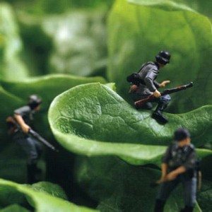 Miniature Food Sculpture Army Men
