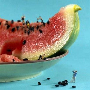 Miniature Food Sculpture Watermelon Workers