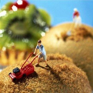 Miniature Food Sculpture Lawn Mower