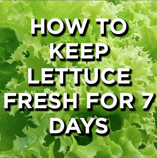 How to Keep Lettuce Fresh for 7 Days (or More!)