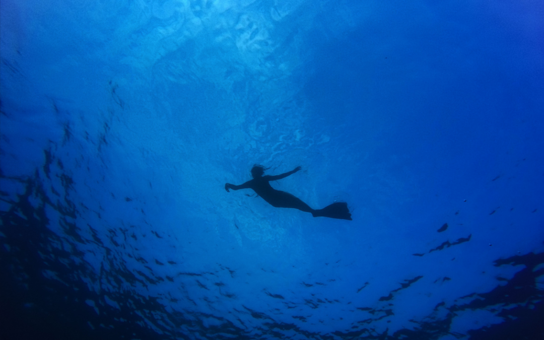 Free Diving and Eating to Live